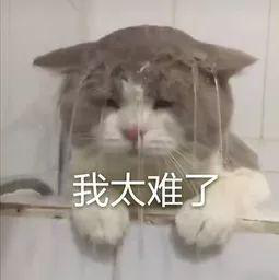 木门