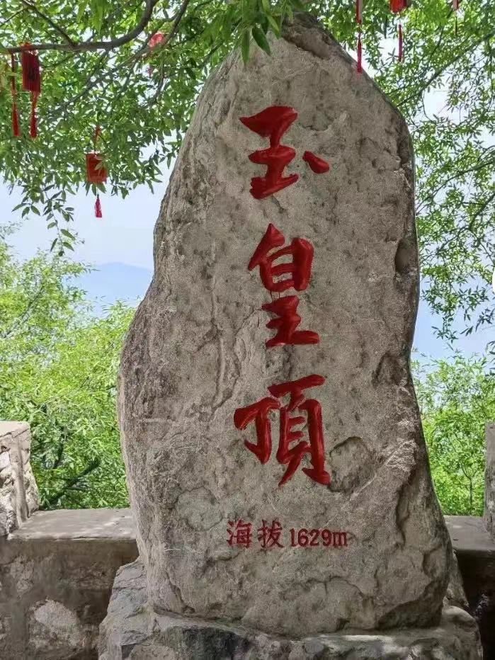 木门十大品牌